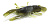 Силиконовая приманка RELAX Crawfish 2'' (5,5 см) CRF2-L585